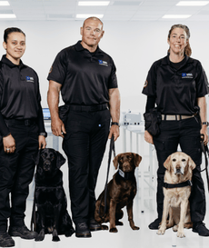 Canine Pharma